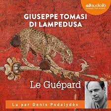 guépard 2.jpg