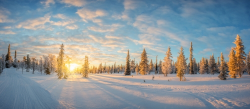 Hiver_Soleil_Delphotostock_Fotolia.jpg