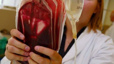 transfusion.jpg