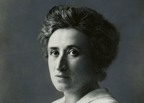 rosa luxemburg