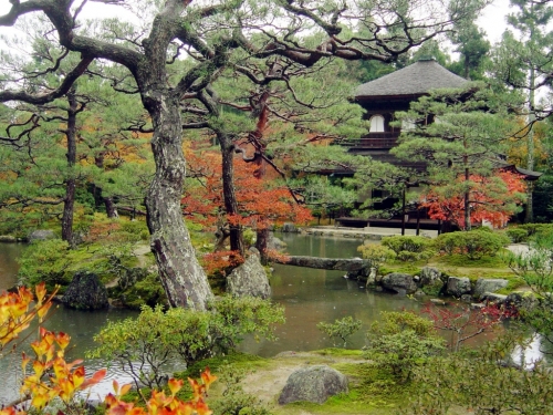 jardin-japonais.jpg
