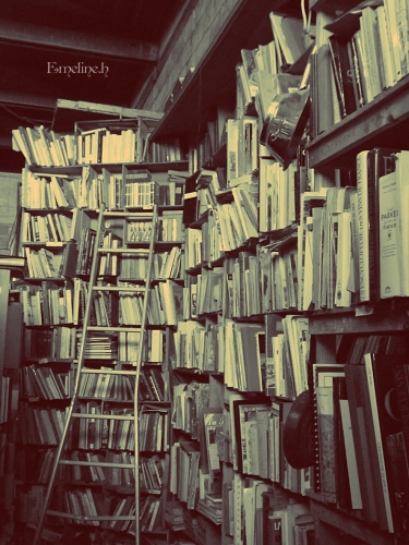 librairie.jpg