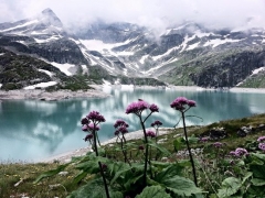 austrian-alps-july-2014.jpg