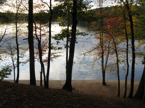 Walden_Pond_in_October,_Concord_MA.jpg